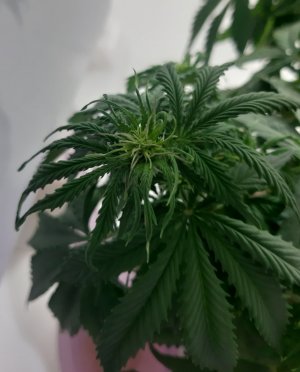 20231021_192159.jpg 20231021_192159.jpg