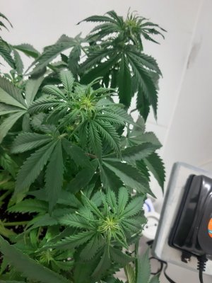 20231021_192017.jpg 20231021_192017.jpg