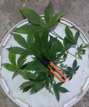 20231021_192117.jpg 20231021_192117.jpg