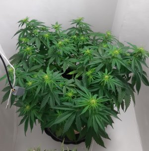 20231021_202330.jpg 20231021_202330.jpg