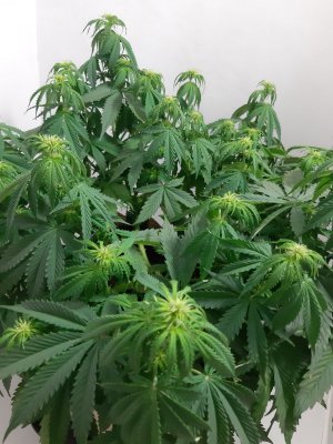 20231021_202805.jpg 20231021_202805.jpg