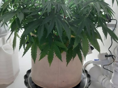 20231021_203530.jpg 20231021_203530.jpg