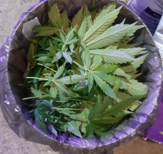 20231021_203642.jpg 20231021_203642.jpg