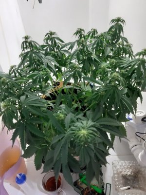 20231021_203701.jpg 20231021_203701.jpg