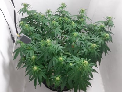 20231021_222321.jpg 20231021_222321.jpg