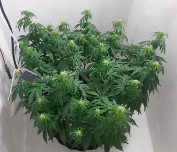 20231021_222411.jpg 20231021_222411.jpg