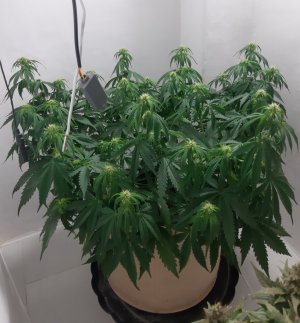 20231022_100600.jpg 20231022_100600.jpg