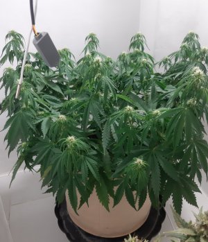 20231022_104456.jpg 20231022_104456.jpg