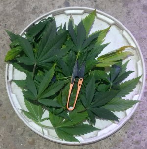 20231022_110239.jpg 20231022_110239.jpg