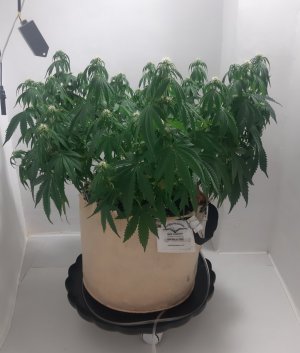 20231022_110221.jpg 20231022_110221.jpg