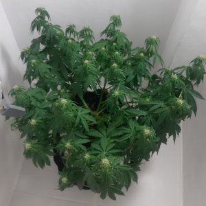 20231022_110158.jpg 20231022_110158.jpg