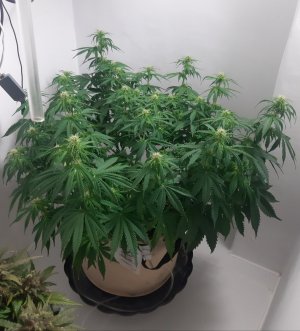 20231022_122443.jpg 20231022_122443.jpg