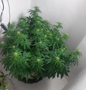 20231022_122416.jpg 20231022_122416.jpg