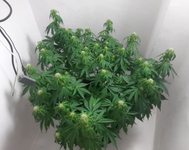 20231022_122401.jpg 20231022_122401.jpg