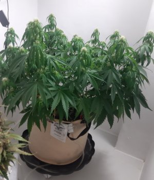 20231022_122346.jpg 20231022_122346.jpg