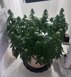 20231022_134250.jpg 20231022_134250.jpg