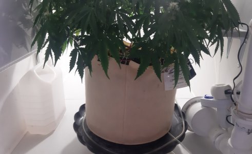 20231022_134305.jpg 20231022_134305.jpg