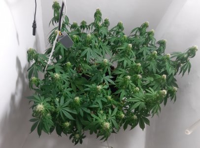 20231022_134533.jpg 20231022_134533.jpg