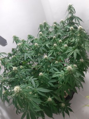 20231022_134713.jpg 20231022_134713.jpg