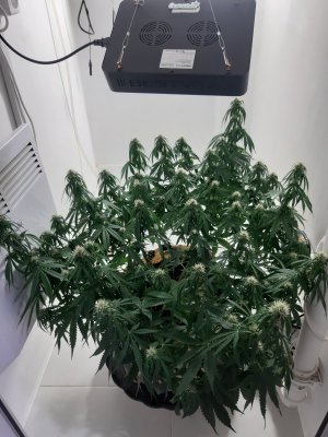 20231022_134801.jpg 20231022_134801.jpg