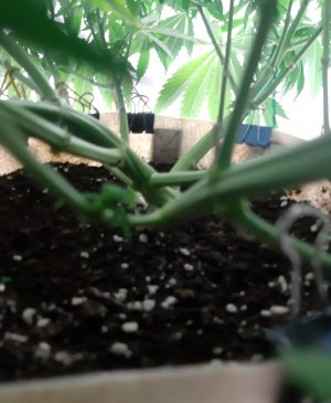 20231022_134902.jpg 20231022_134902.jpg