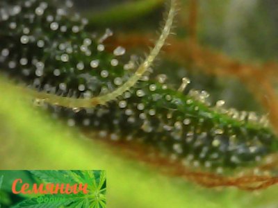 Picsart_23-10-16_19-47-49-425.jpg Picsart_23-10-16_19-47-49-425.jpg