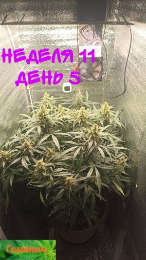 Picsart_23-10-20_10-00-45-975.jpg Picsart_23-10-20_10-00-45-975.jpg