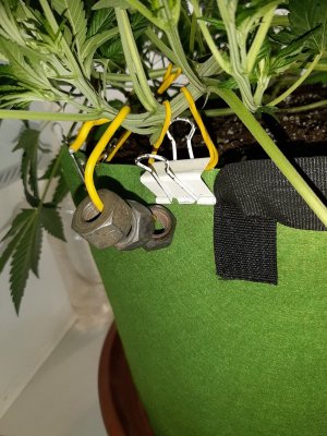 20231023_191840.jpg 20231023_191840.jpg