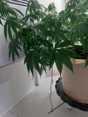 20231022_141454.jpg 20231022_141454.jpg