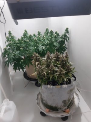 20231024_104745.jpg 20231024_104745.jpg