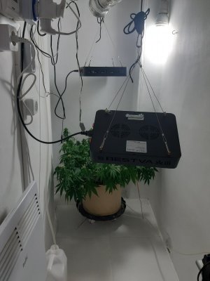 20231024_104726.jpg 20231024_104726.jpg