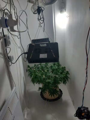 20231024_104713.jpg 20231024_104713.jpg