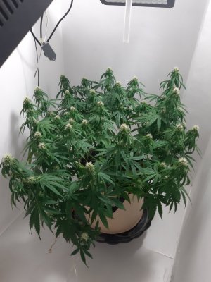 20231024_104700.jpg 20231024_104700.jpg