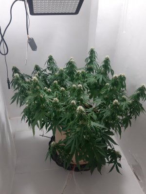 20231024_104543.jpg 20231024_104543.jpg