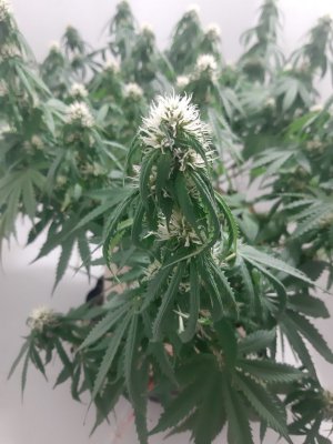 20231024_104529.jpg 20231024_104529.jpg