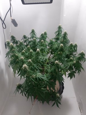 20231024_104516.jpg 20231024_104516.jpg