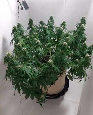 20231024_104358.jpg 20231024_104358.jpg