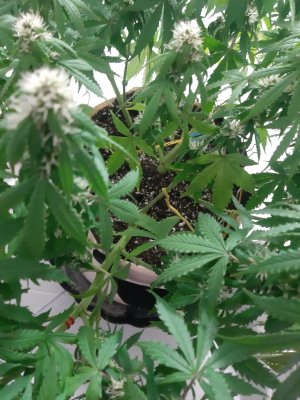 20231024_204709.jpg 20231024_204709.jpg