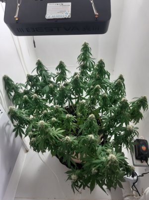 20231024_204640.jpg 20231024_204640.jpg