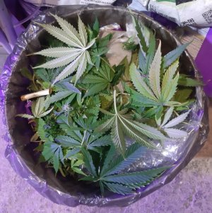 20231024_204514.jpg 20231024_204514.jpg