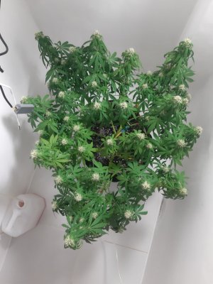 20231024_204601.jpg 20231024_204601.jpg