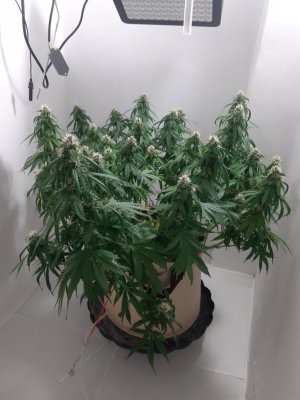 20231024_204442.jpg 20231024_204442.jpg