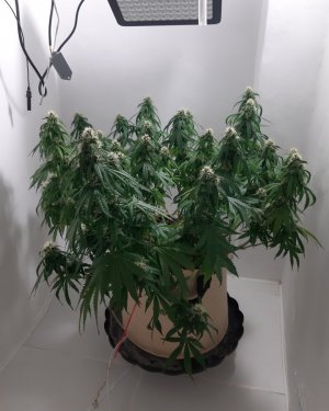 20231024_204349.jpg 20231024_204349.jpg