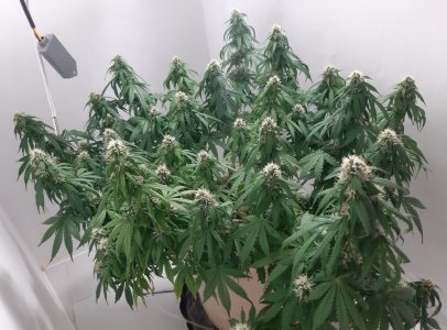 20231024_204318.jpg 20231024_204318.jpg