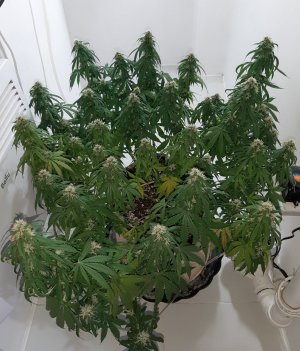 20231024_204029.jpg 20231024_204029.jpg