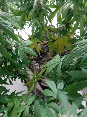 20231024_204240.jpg 20231024_204240.jpg