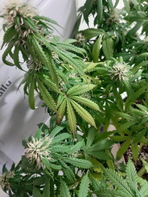 20231024_204305.jpg 20231024_204305.jpg