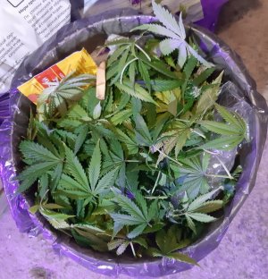 20231024_204043.jpg 20231024_204043.jpg