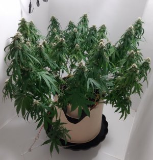 20231024_204121.jpg 20231024_204121.jpg