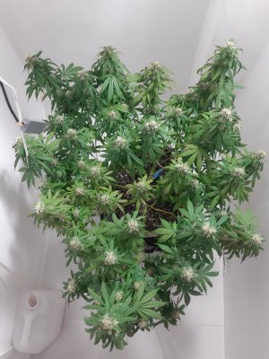 20231025_221030.jpg 20231025_221030.jpg